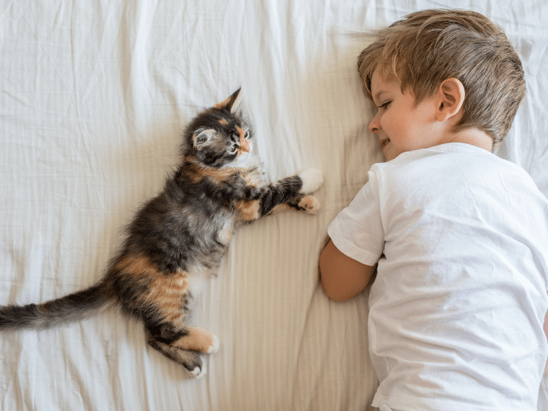 Evcil hayvanını kaybeden üzgün çocuk